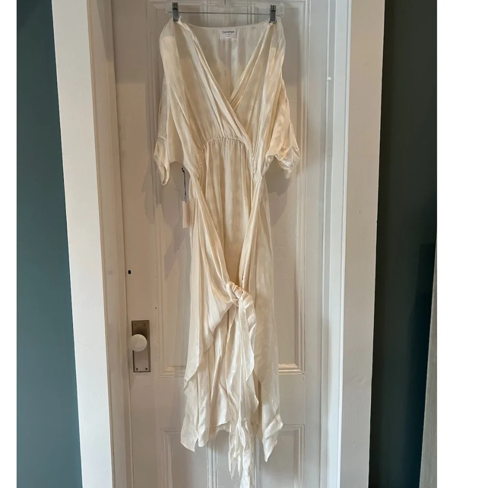 NWT Callahan Dress - Picture 4 of 5